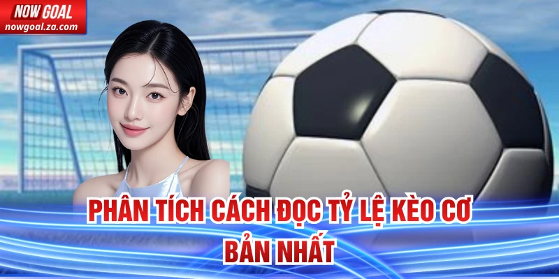 Phân tích cách đọc tỷ lệ kèo cơ bản nhất